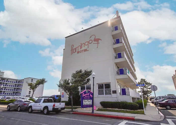 Flamingo Motel