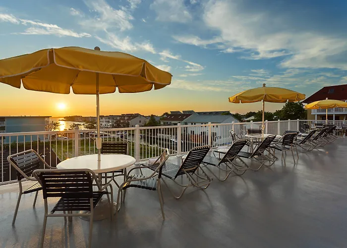 Pet Friendly hotel: Fairfield Inn & Suites By Marriott Ocean City